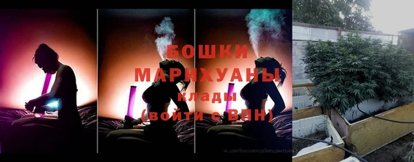 прущие грибы Алексеевка