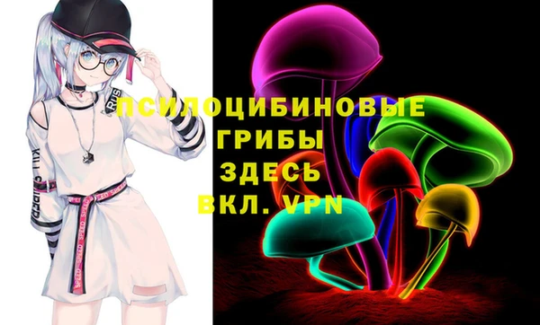 прущие грибы Алексеевка