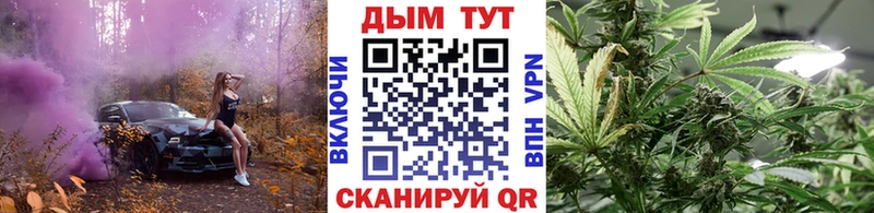 Бошки марихуана план  Грязовец 